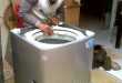 Jasa service panggil mesin cuci Jayapura