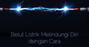 Belut Listrik Melindungi Diri dengan Cara