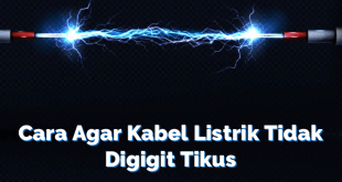 Cara Agar Kabel Listrik Tidak Digigit Tikus