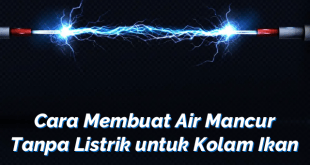 Cara Membuat Air Mancur Tanpa Listrik untuk Kolam Ikan