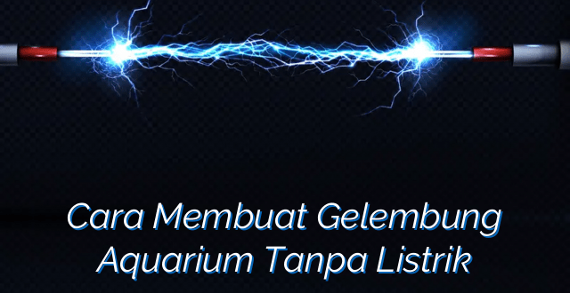 Cara Membuat Gelembung Aquarium Tanpa Listrik