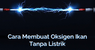 Cara Membuat Oksigen Ikan Tanpa Listrik