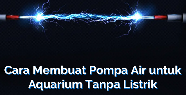 Cara Membuat Pompa Air untuk Aquarium Tanpa Listrik