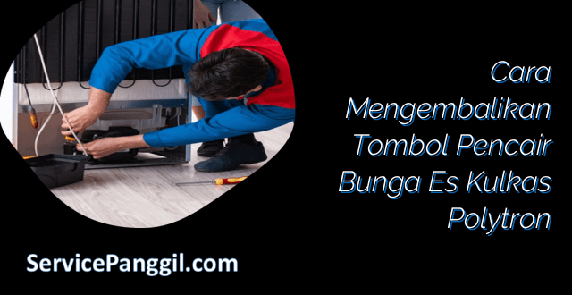 Cara Mengembalikan Tombol Pencair Bunga Es Kulkas Polytron