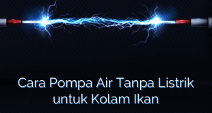 Cara Pompa Air Tanpa Listrik untuk Kolam Ikan